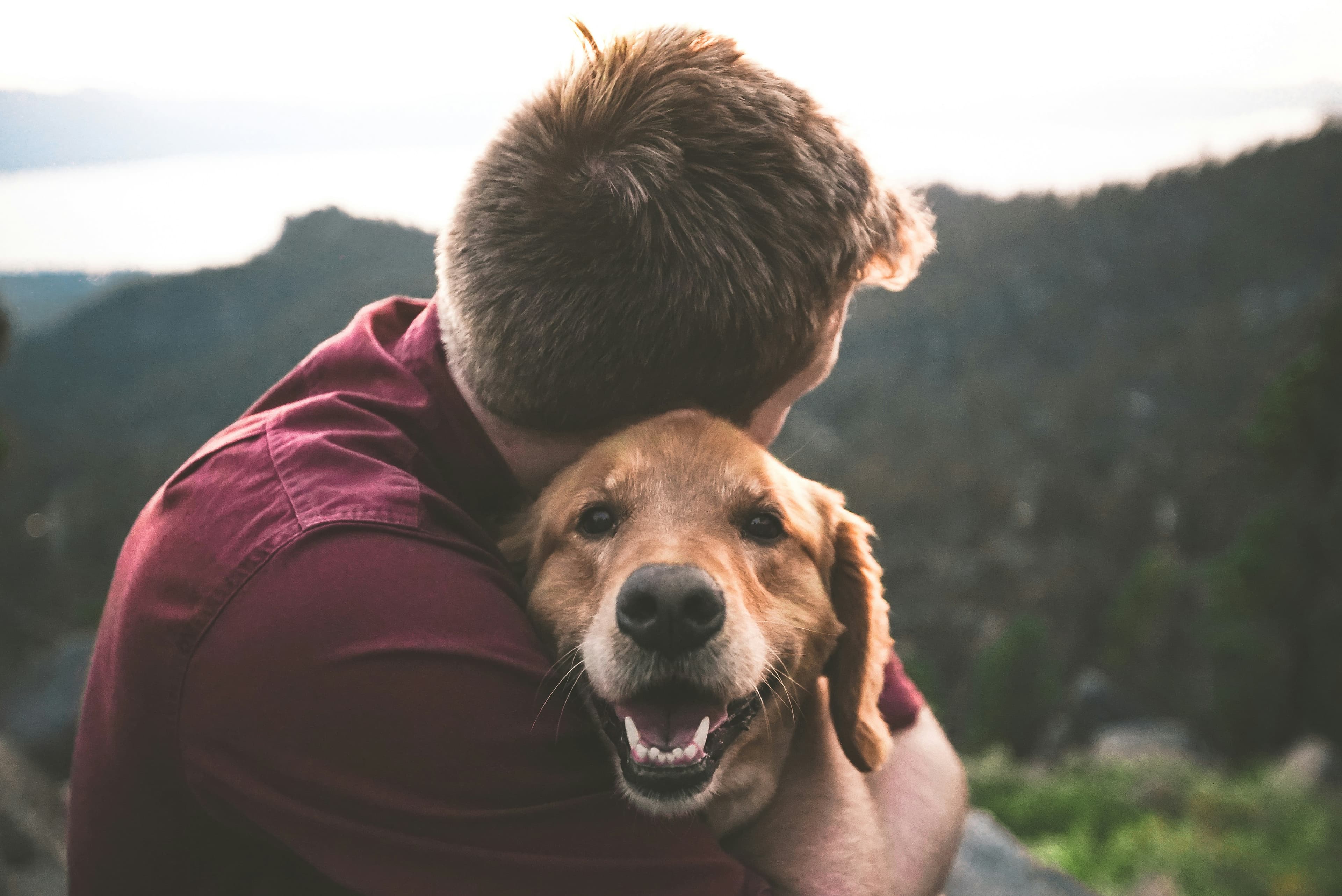 Un adoptant avec son chien