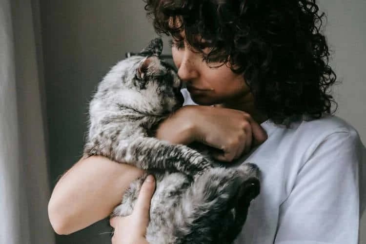 Chat en refuge ou association